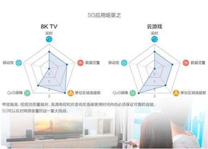 智士軟件 北京軟件開發(fā)領域的新銳力量